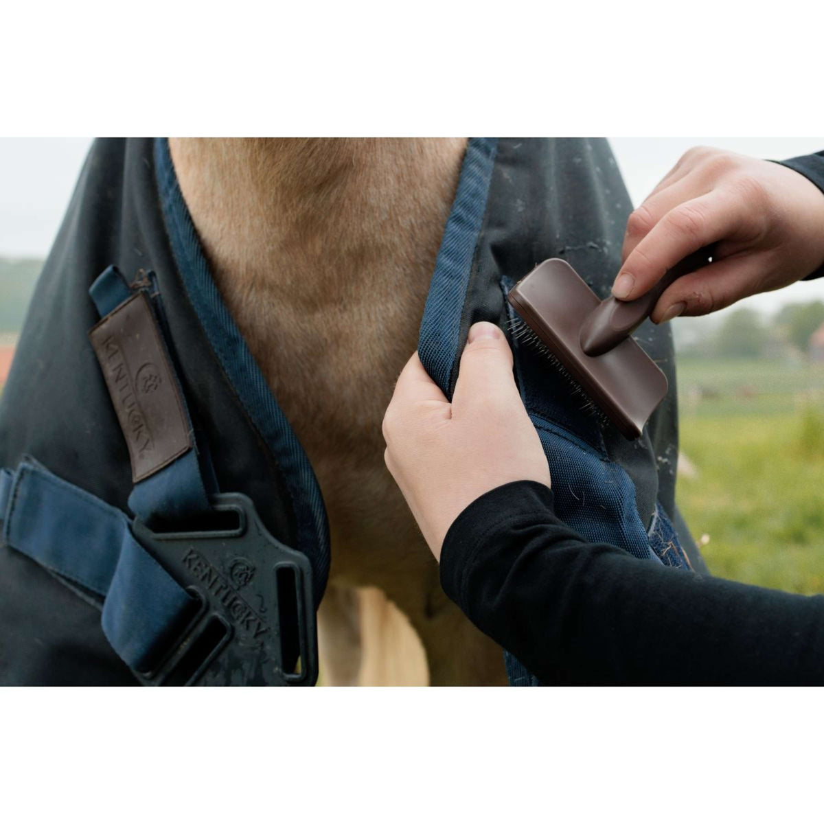 Grooming Deluxe by Kentucky Velcro Cleaning Brush Braun