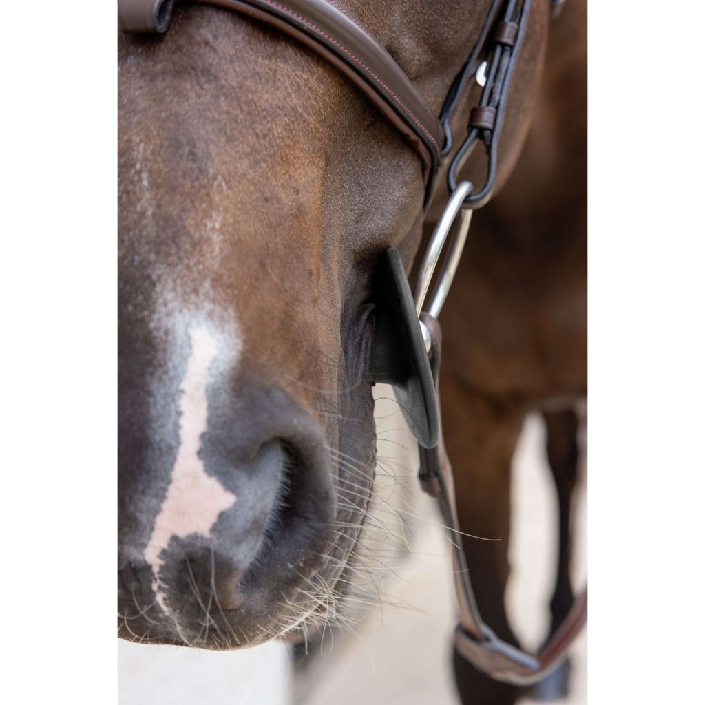 Kentucky Gebissringe Bit Ring Schwarz