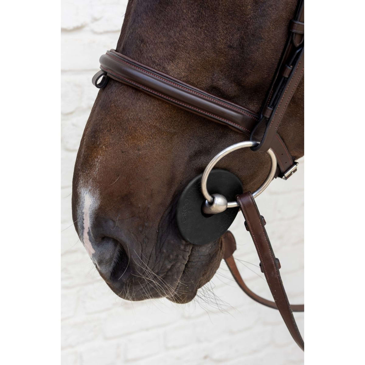 Kentucky Gebissringe Bit Guard Schwarz