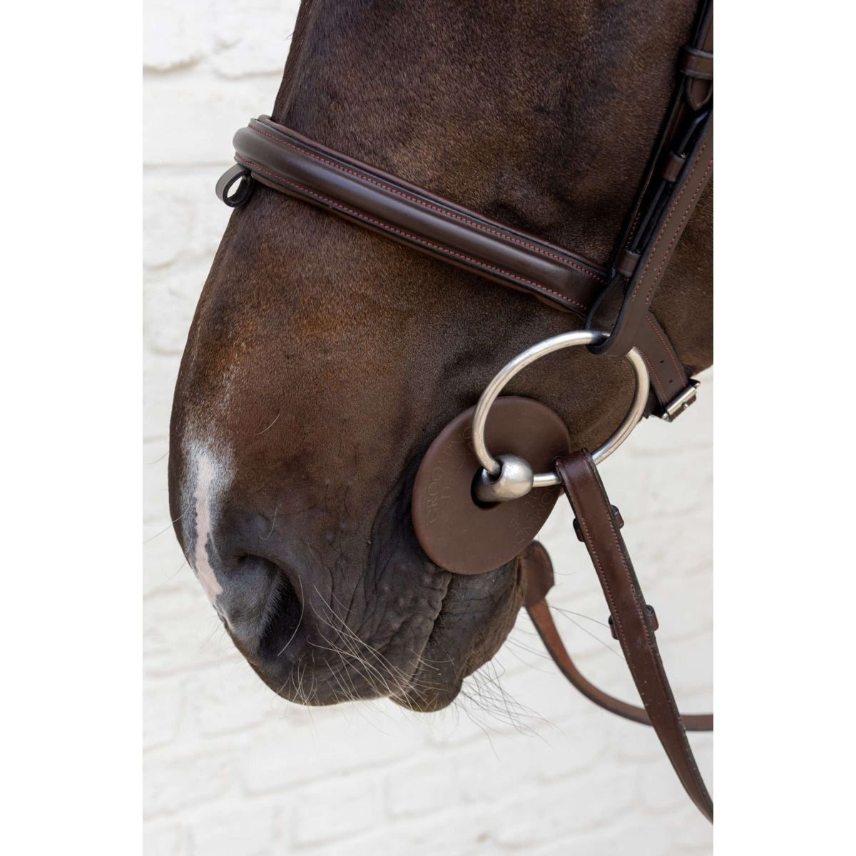 Kentucky Gebissringe Bit Guard Braun