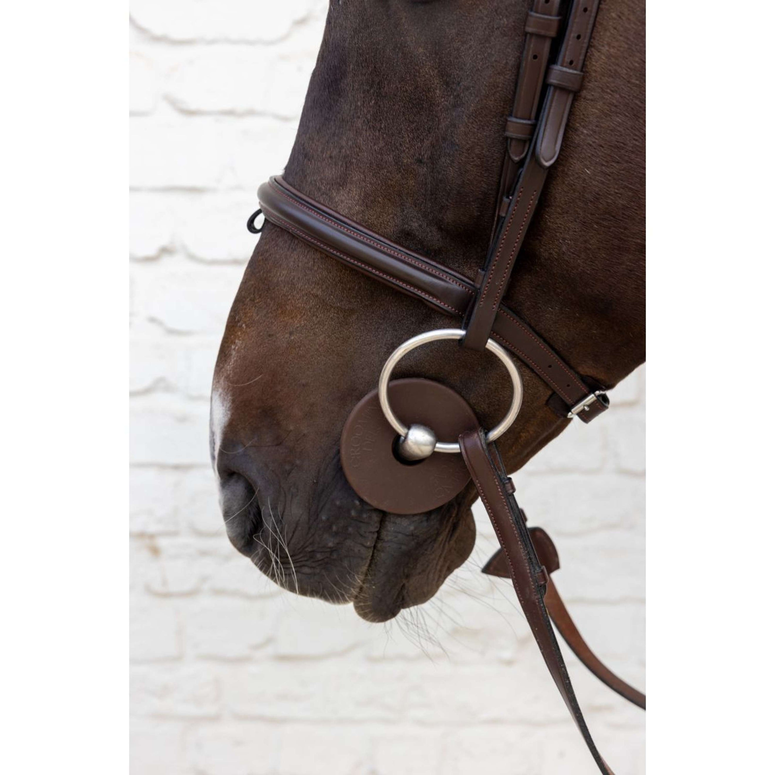 Kentucky Gebissringe Bit Guard Braun Kentucky Gebissringe Bit Guard Braun