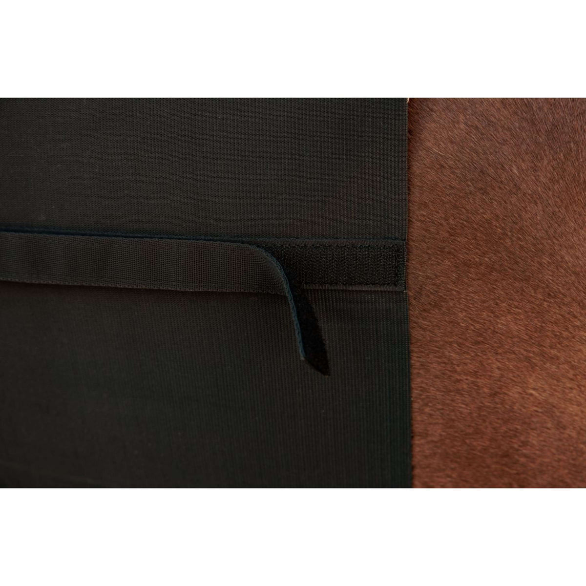 Kentucky Bauchgurtschoner Schwarz