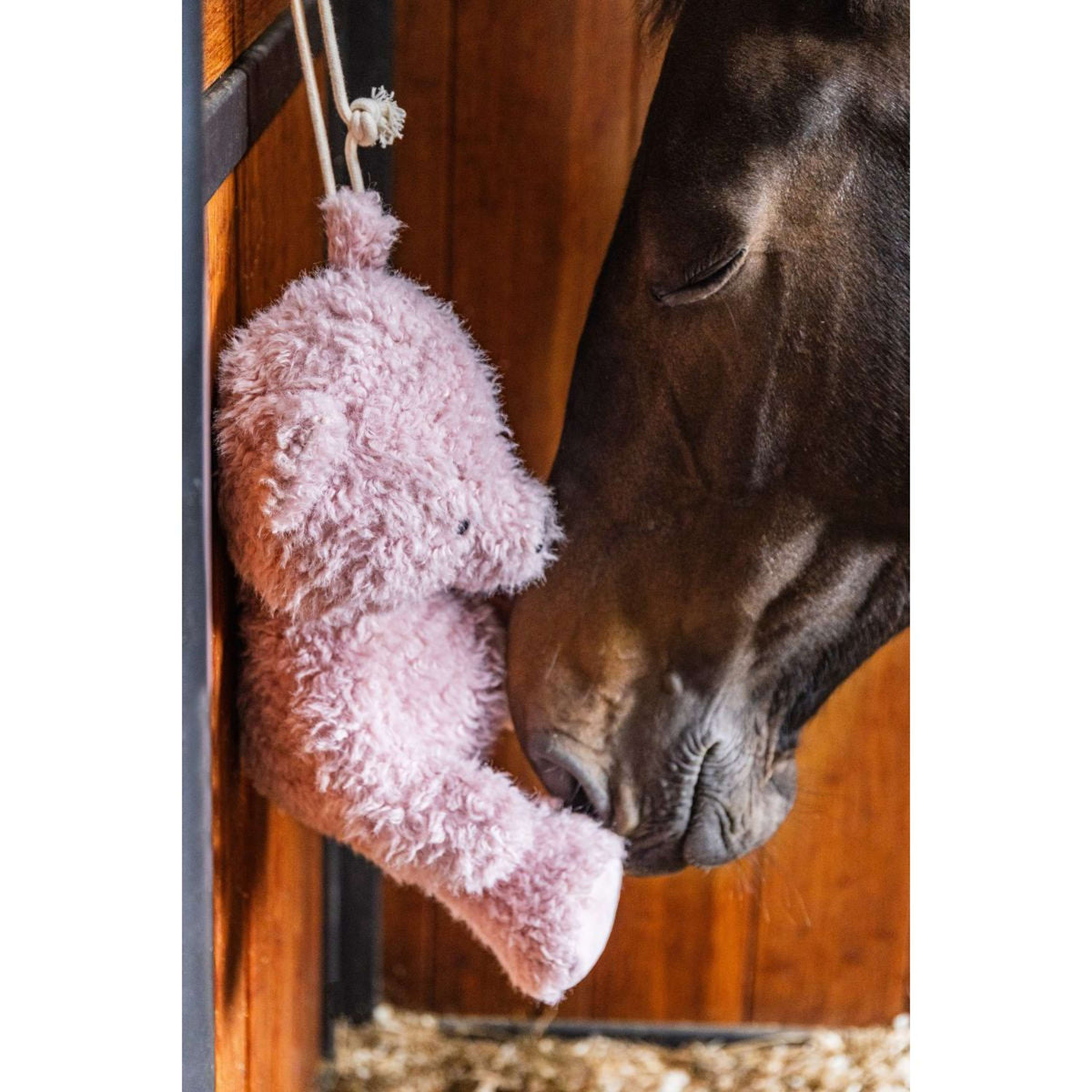 Kentucky Relax Horse Toy Bear Old Rose