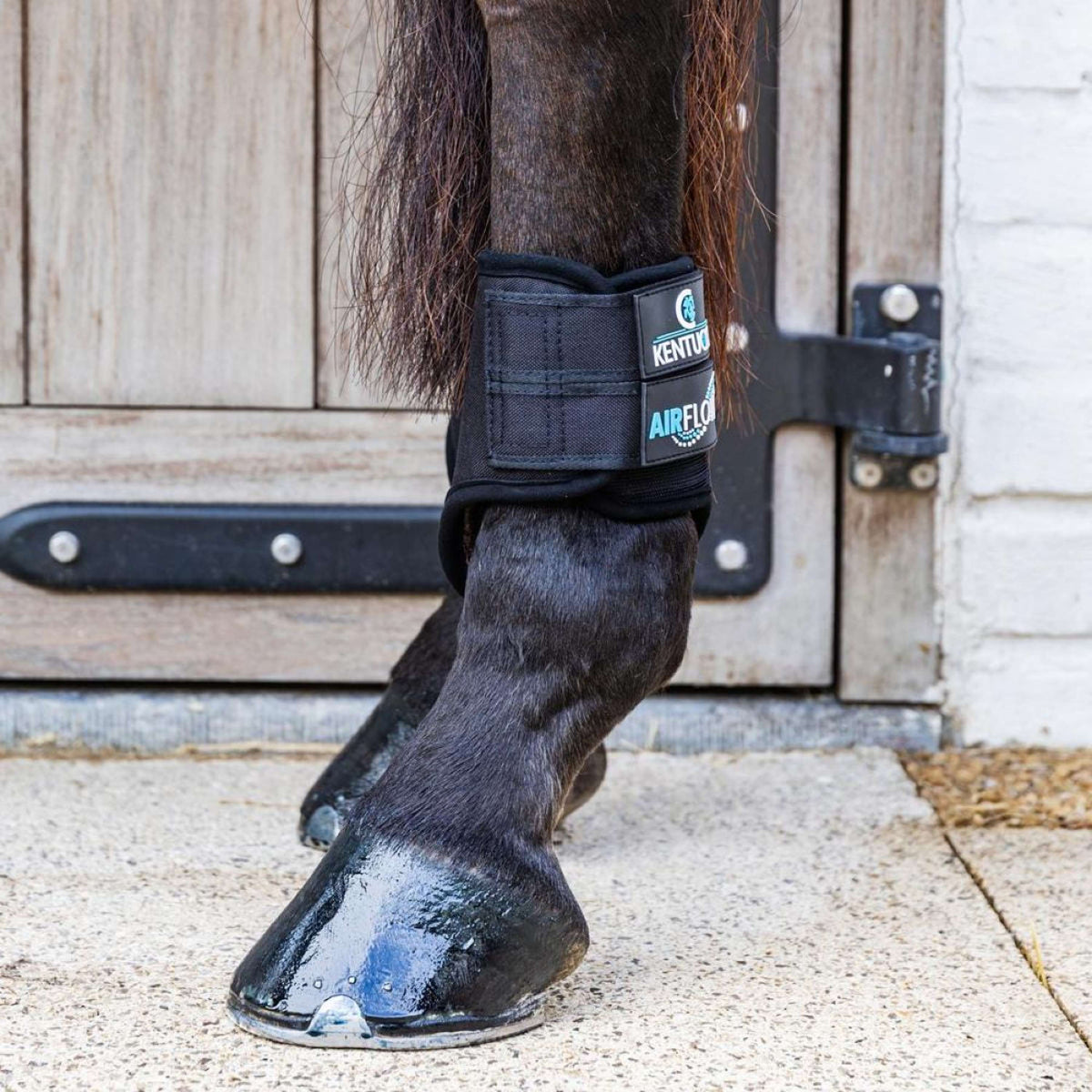 Kentucky Horsewear Eventing Boots 3D Air Flow Skin Friendly Short Hind Schwarz