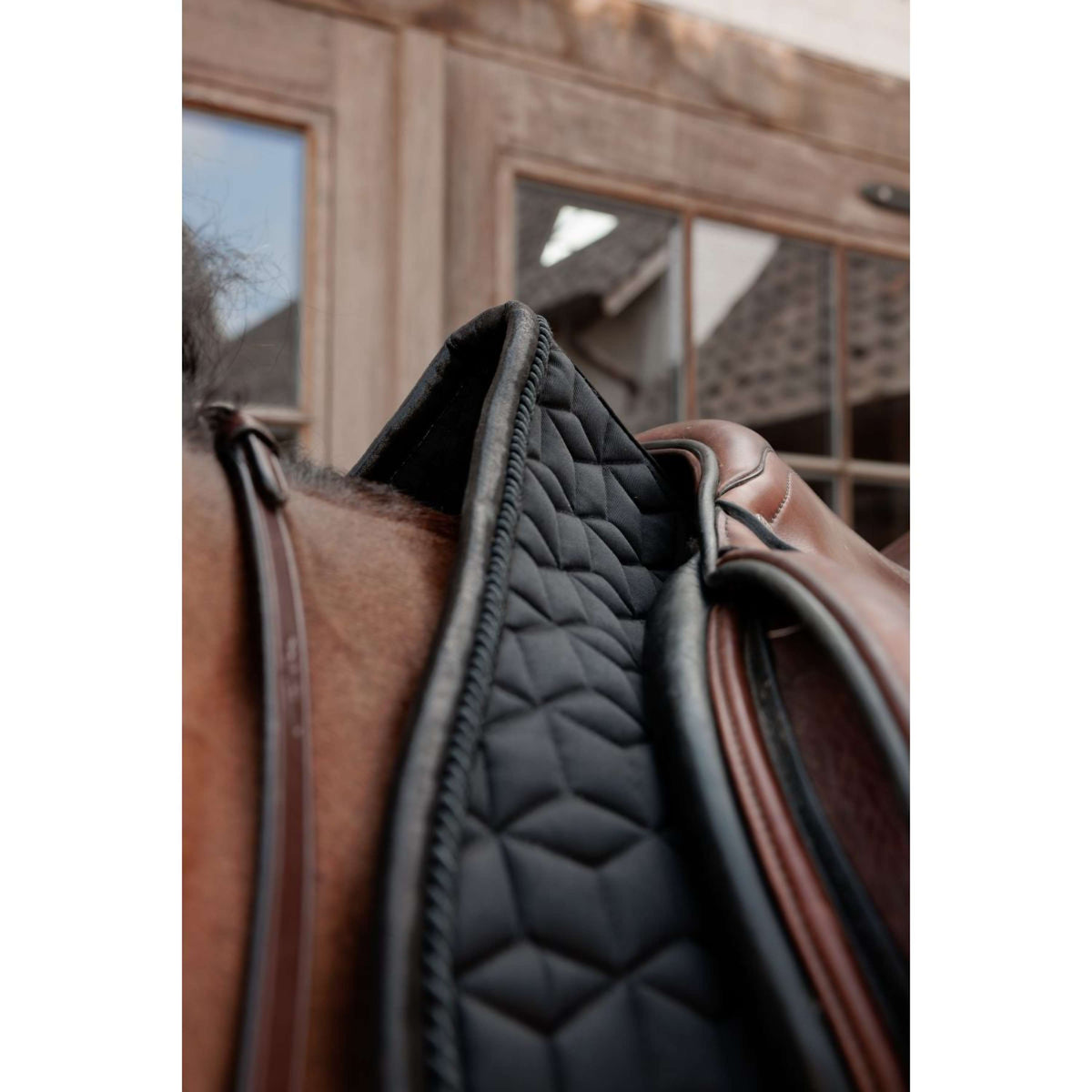 Kentucky Schabracke Sparkling Springen Schwarz