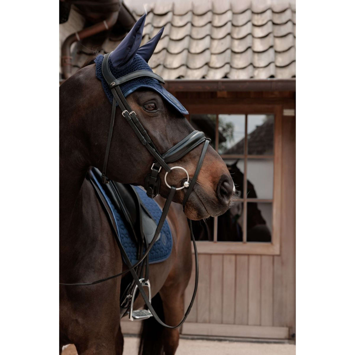 Kentucky Schabracke Sparkling Dressur Navy