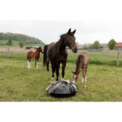 Grooming Deluxe by Kentucky Slow Feeder Play & Haybag Round