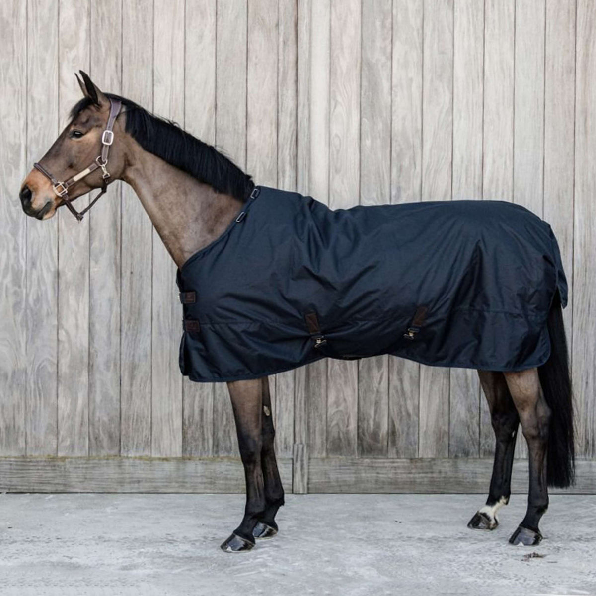 Kentucky Turnout Rug All Weather Waterproof Classic 300g Navy