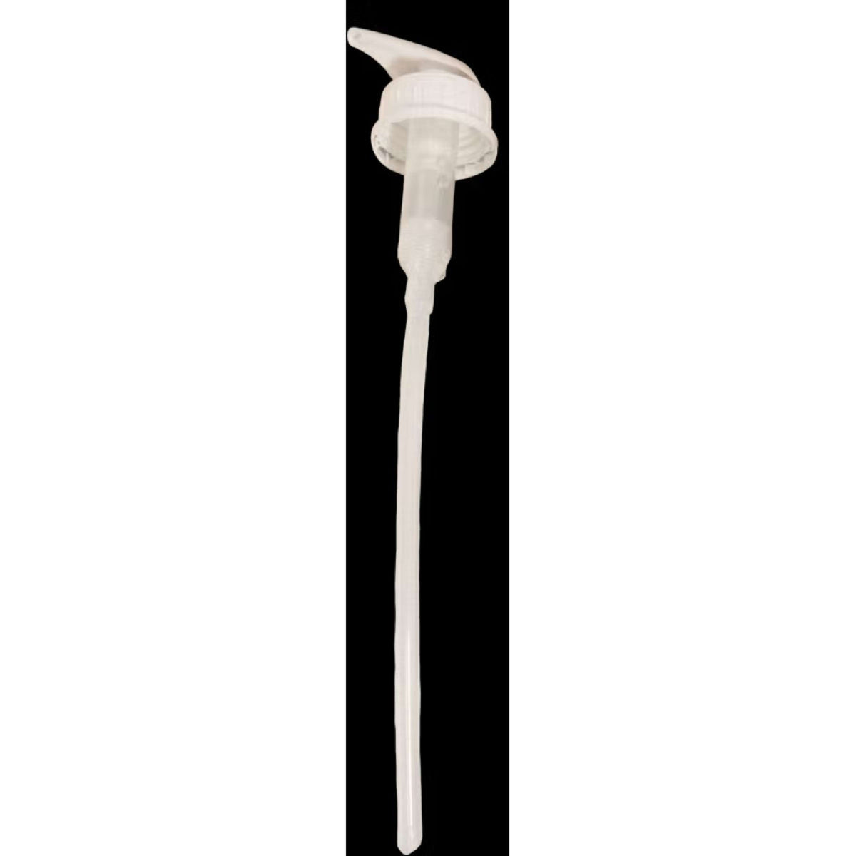 Kentucky Pumpe Shampoo Almond