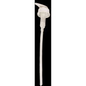 Kentucky Pumpe Shampoo Almond