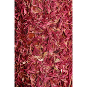 Grooming Deluxe by Kentucky Relax Horse Toy Wooden Unicorn Joy