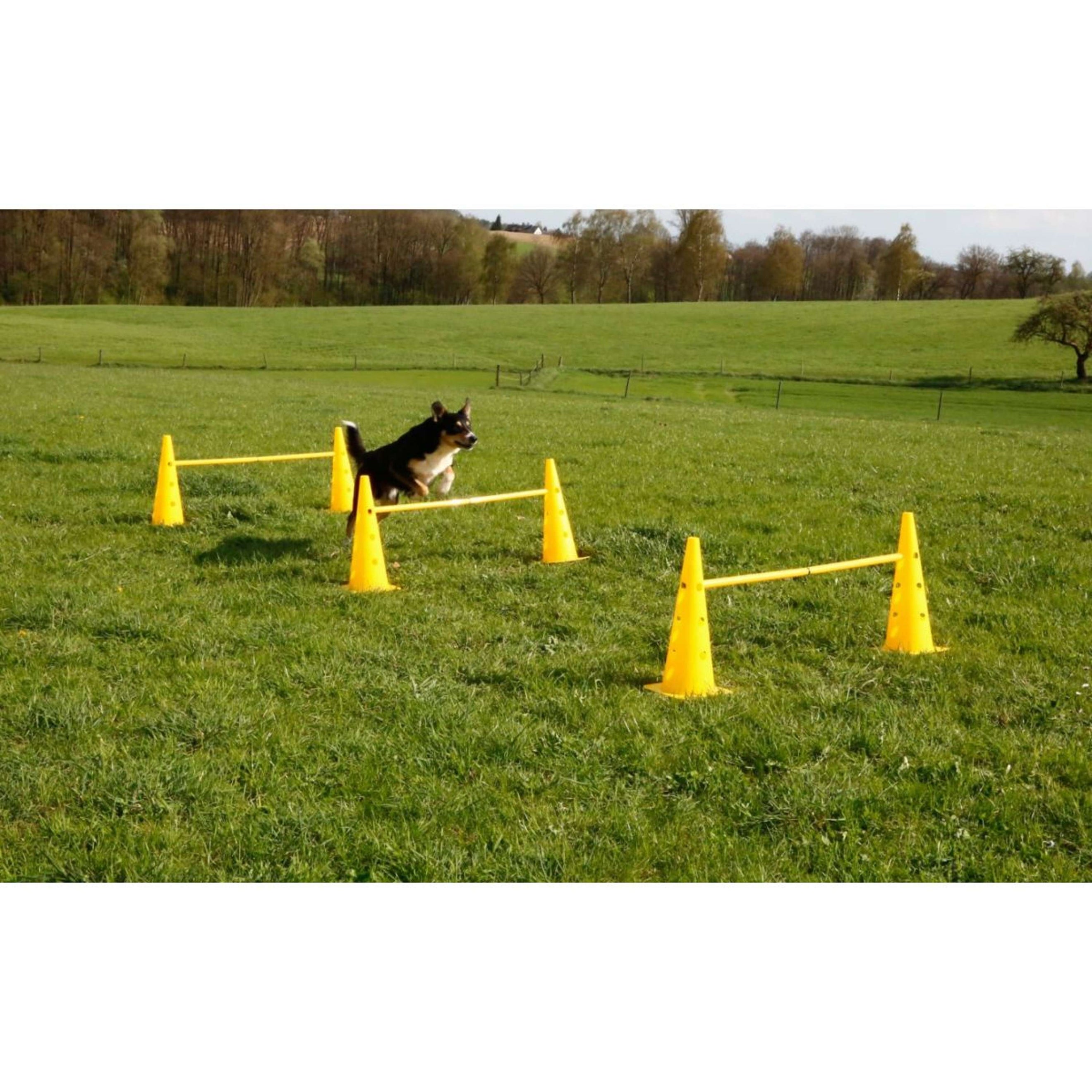 Kerbl Agility Pylon Set 3 Hindernisse Rot/Gelb Kerbl Agility Pylon Set 3 Hindernisse Rot/Gelb