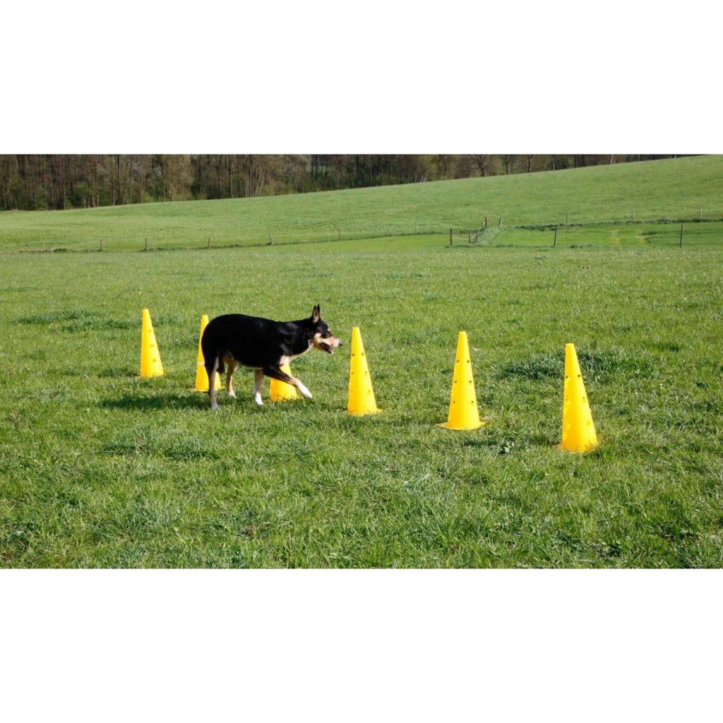 Kerbl Agility Pylon Set 3 Hindernisse Rot/Gelb