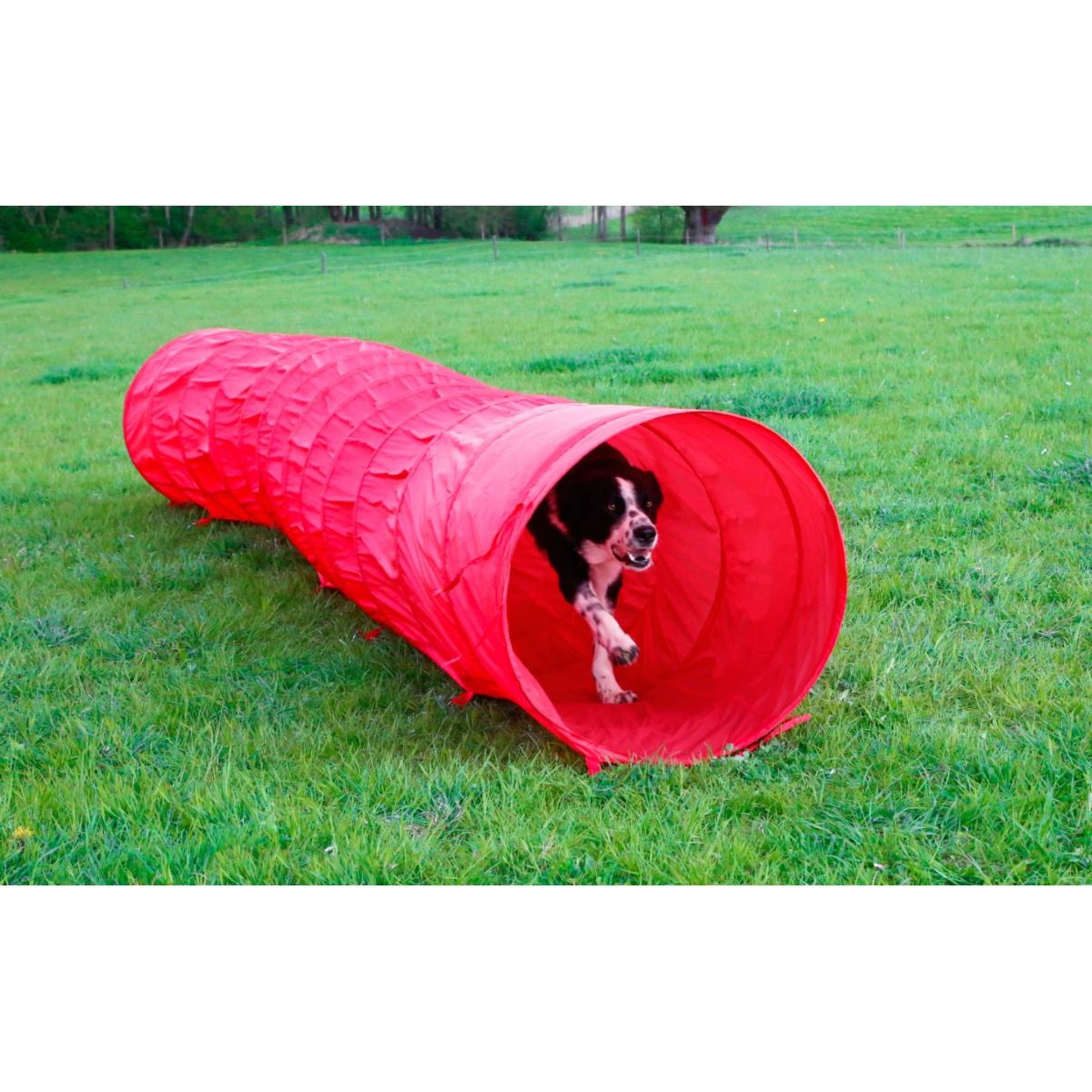 Kerbl Agility Hundetunnel Rot Kerbl Agility Hundetunnel Rot