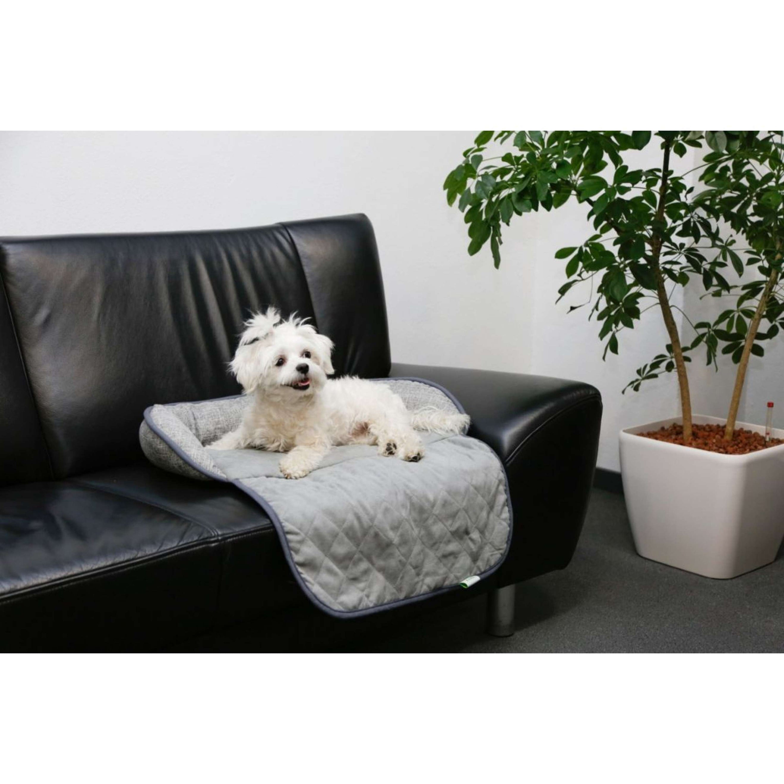 Kerbl Couchkissen Emalia Grau Kerbl Couchkissen Emalia Grau