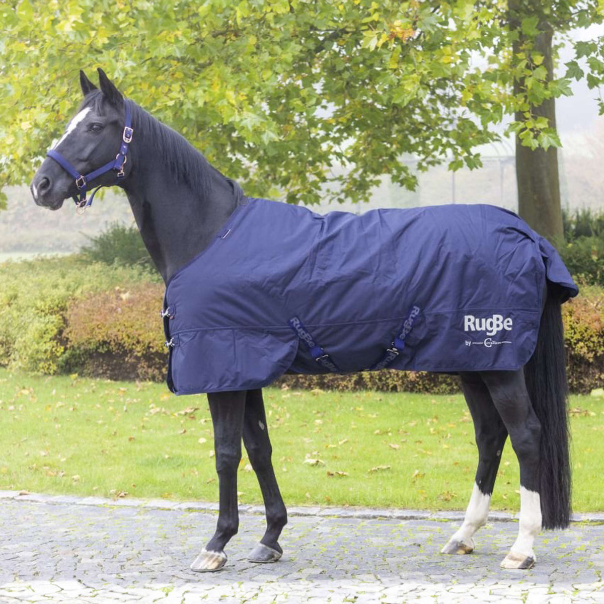 RugBe by Covalliero Winterdecke IceProtect 300g Dark Navy