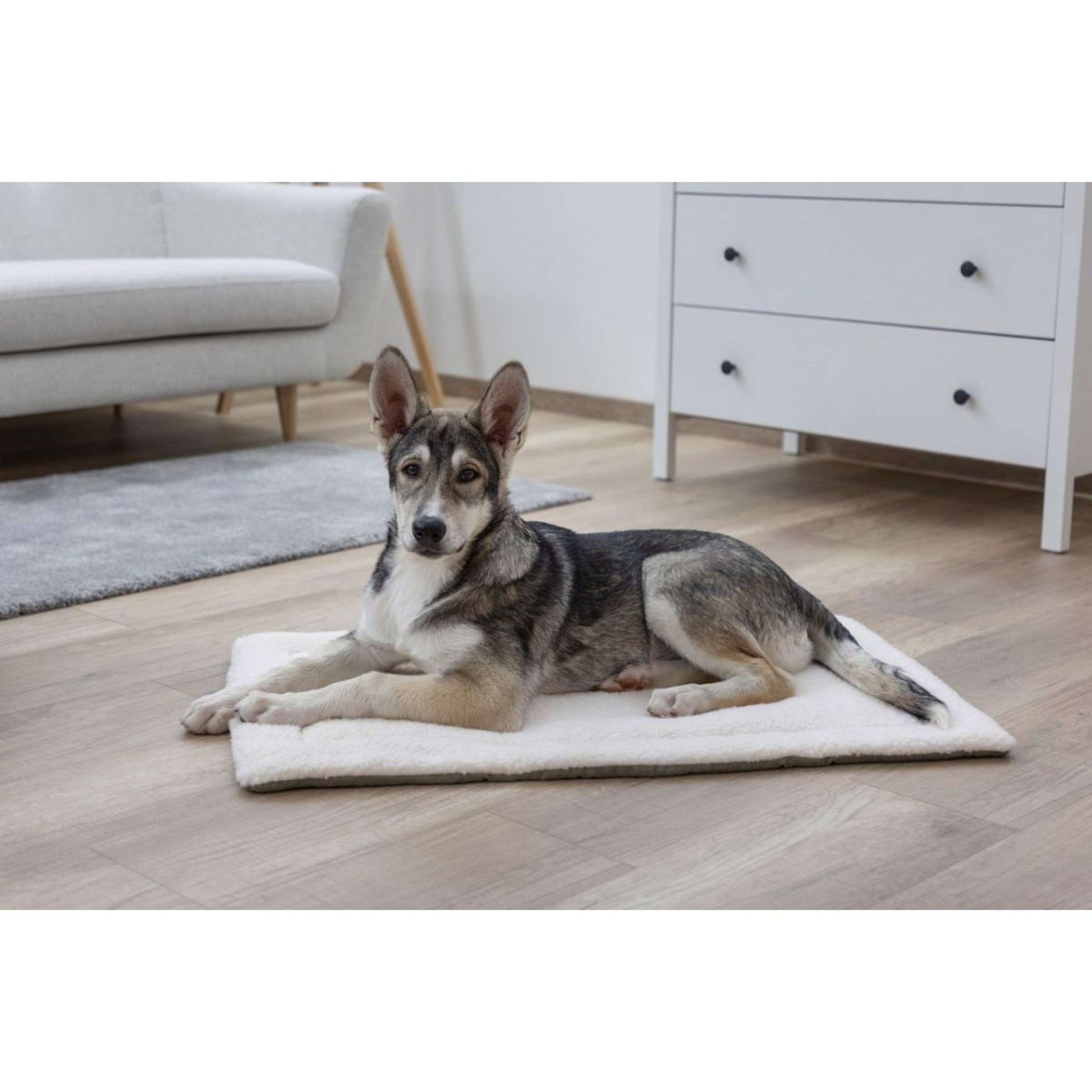 Kerbl Liegekissen Cleo Kerbl Liegekissen Cleo