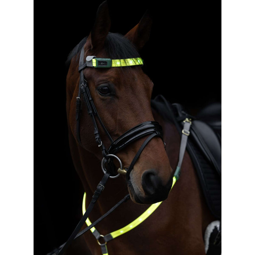 Covalliero Stirnriemen Led Reflexion