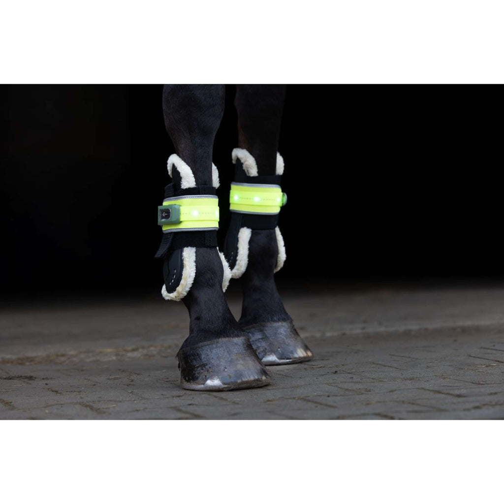 Covalliero Beinschutz Led Reflexion