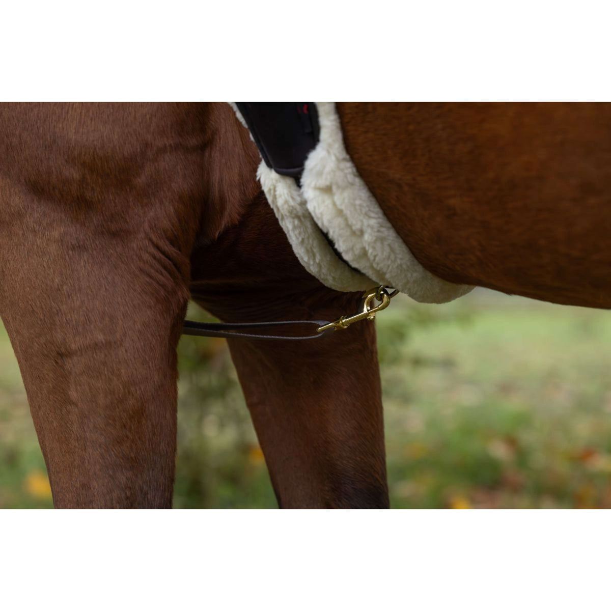 Covalliero Brustgeschirr Led Reflexion