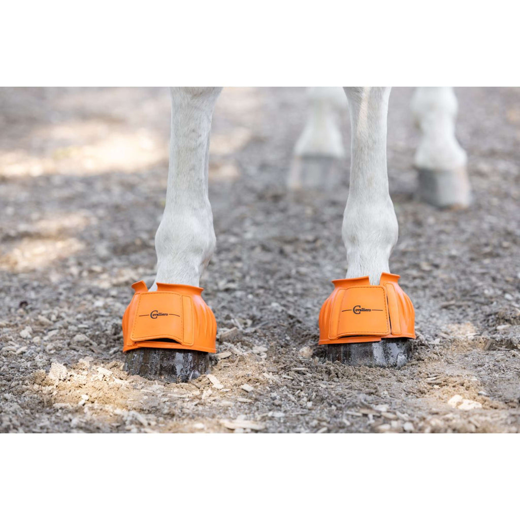 Covalliero Hufglocken Gummi Orange