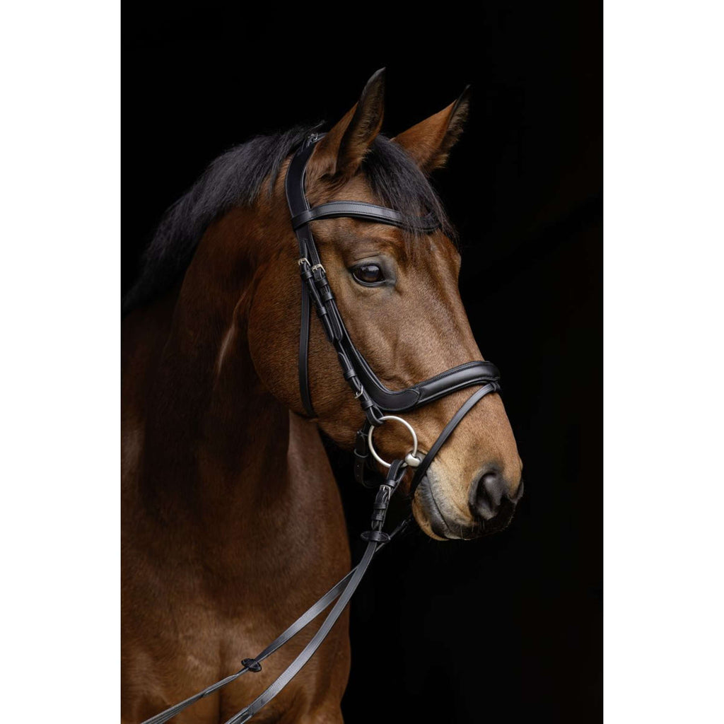 Covalliero Zaum Anatomic Schwarz