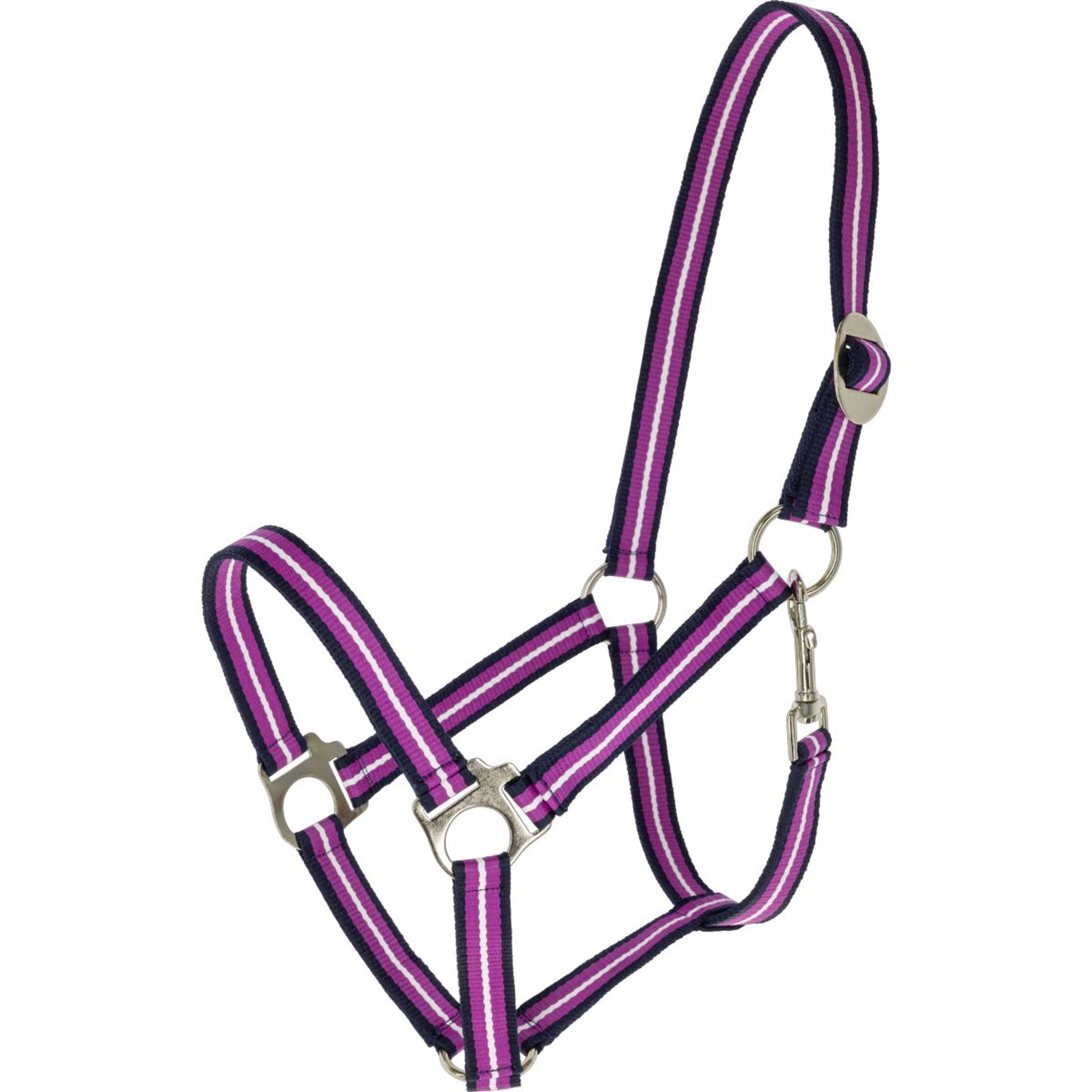 Covalliero Halfter SS26 Dark Navy/Light Berry