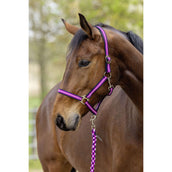 Covalliero Halfter SS26 Dark Navy/Light Berry