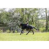Covalliero Ausreitdecke SS26 Schwarz