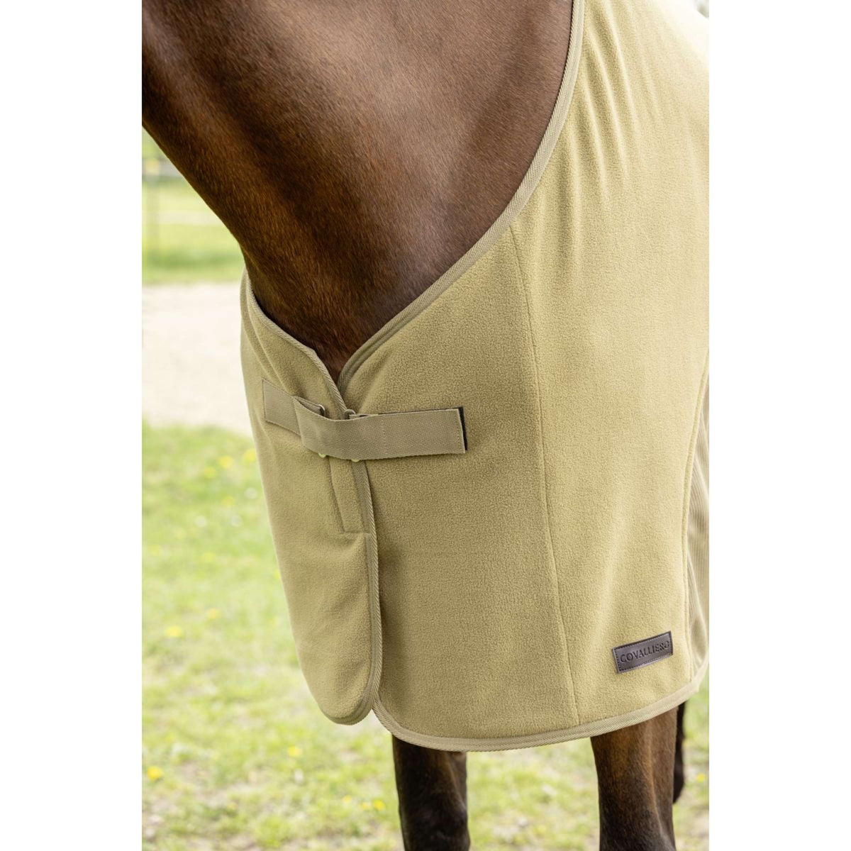 Covalliero Abschwitzdecke SS26 Nuss