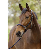 Covalliero Halfter SS26 Dunkle Navy