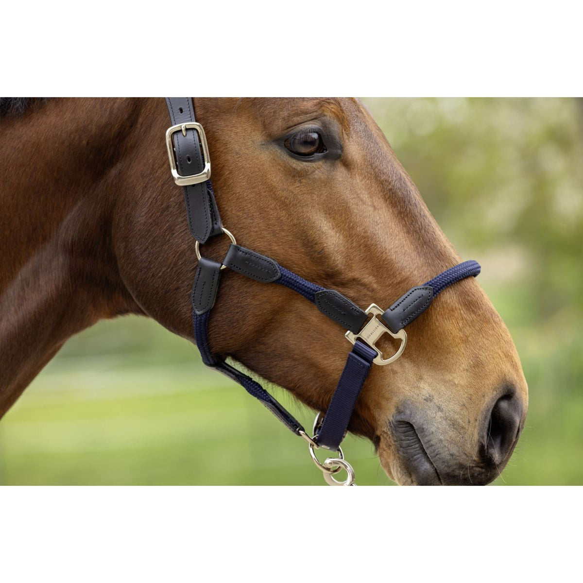 Covalliero Halfter SS26 Dunkle Navy