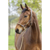 Covalliero Halfter SS26 Nuss