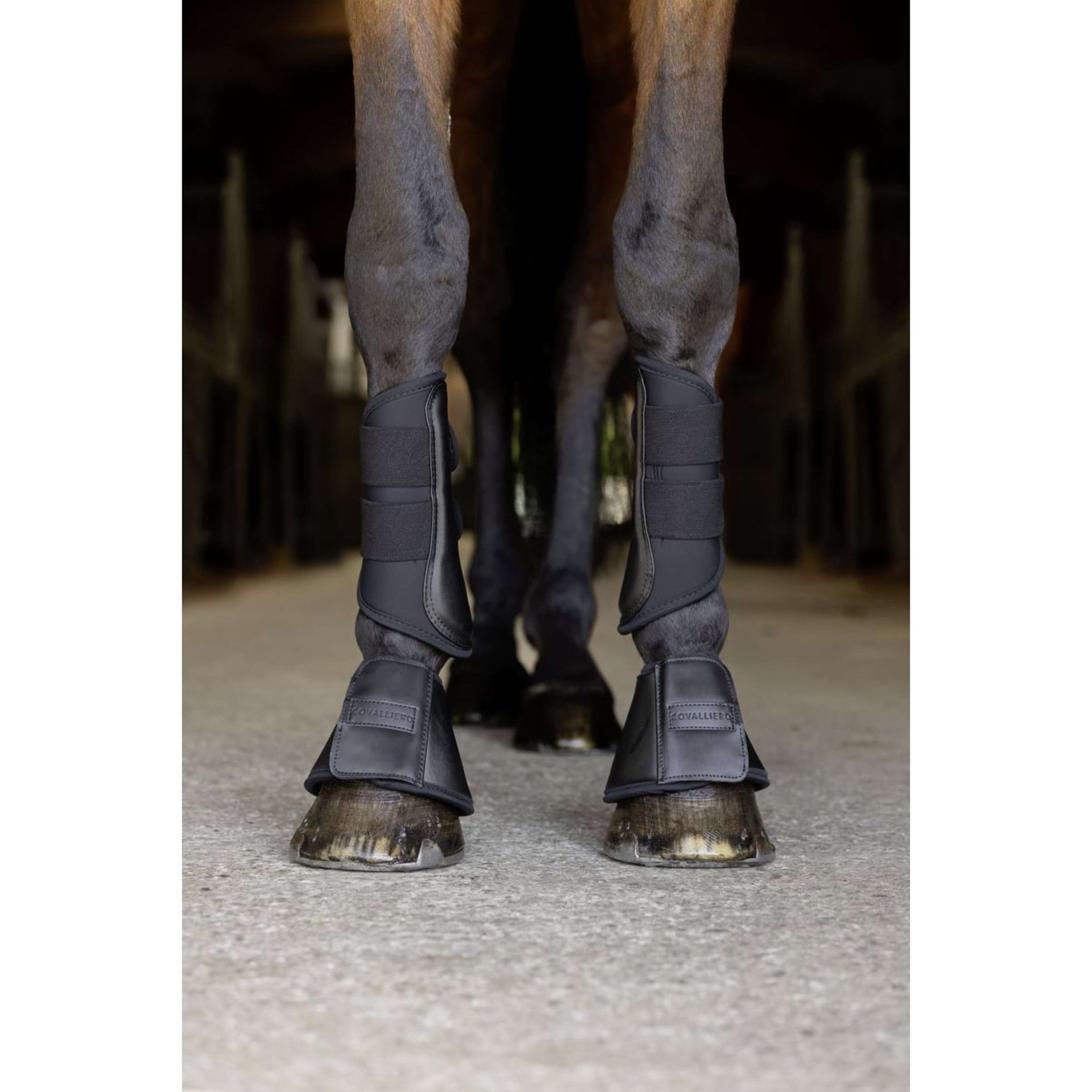 Covalliero Hufglocken SS26 Schwarz