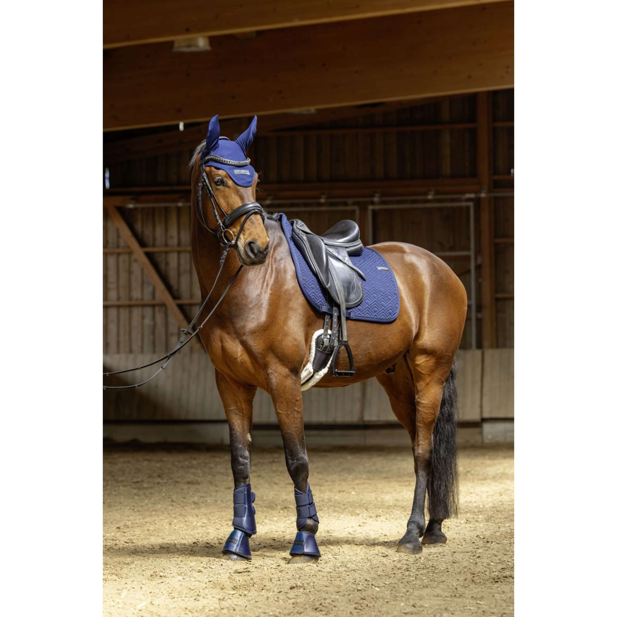 Covalliero Schabracke SS26 Vielseitigkeit Dunkle Navy