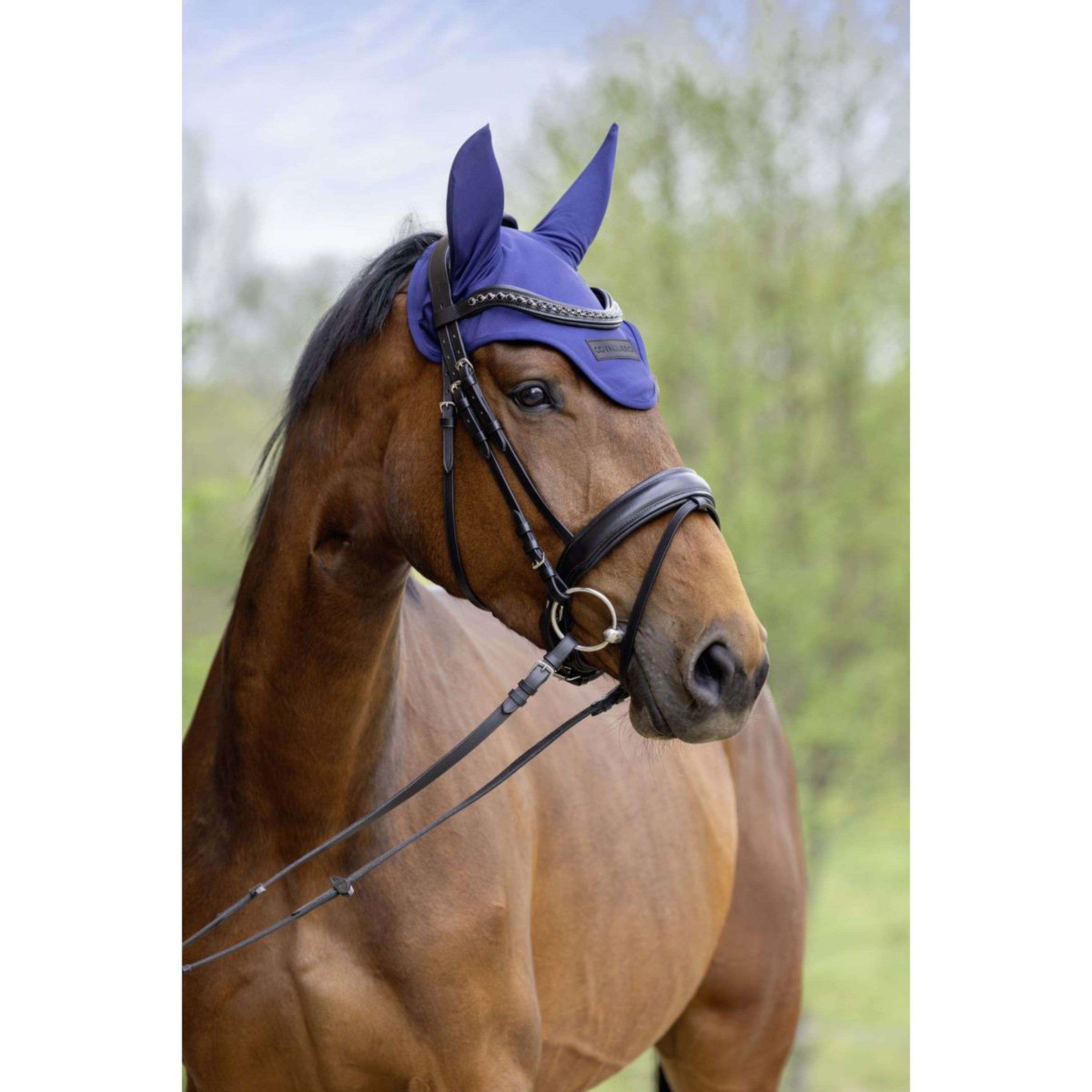 Covalliero Fliegenhaube SS26 Dunkle Navy Covalliero Fliegenhaube SS26 Dunkle Navy