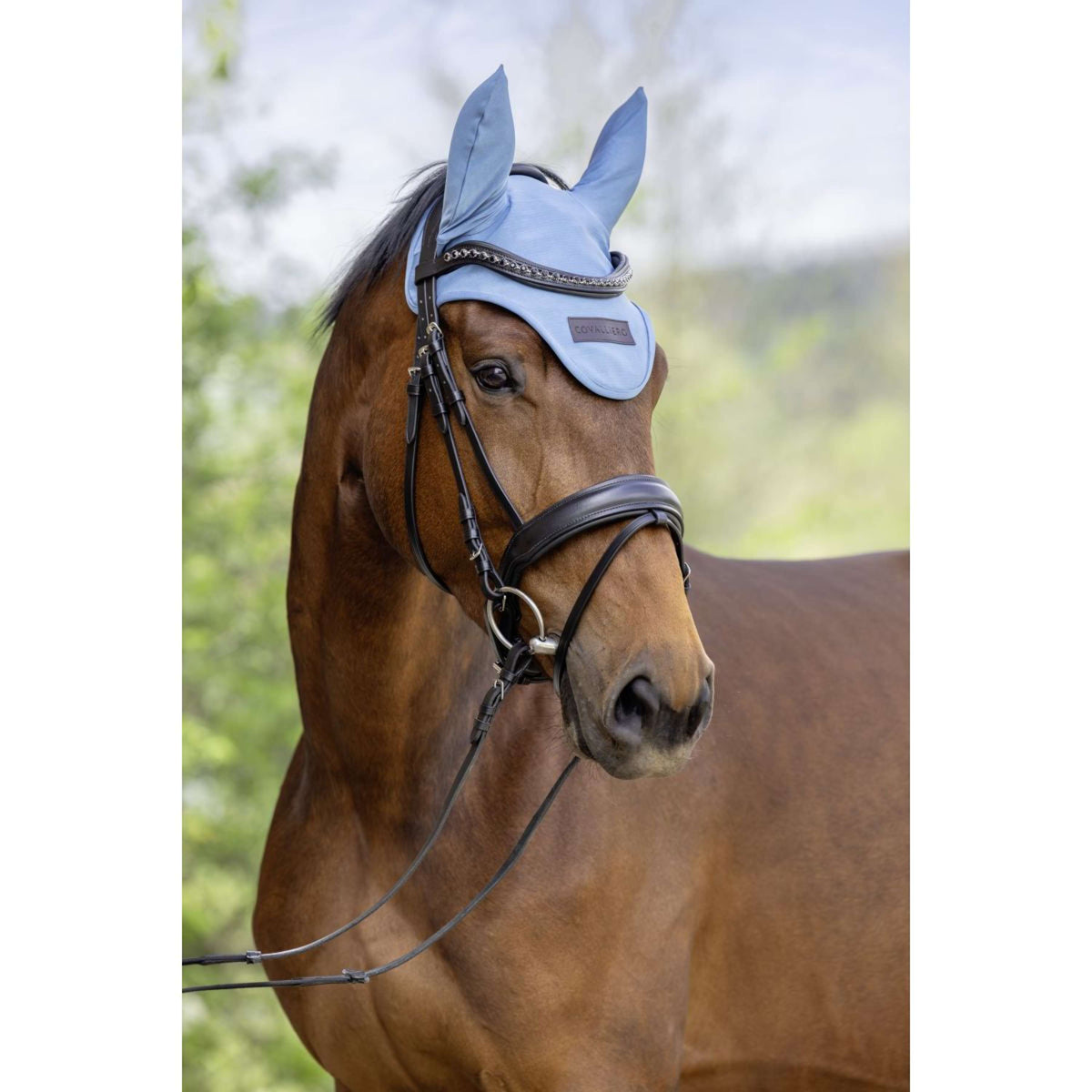 Covalliero Fliegenhaube SS26 Smoked Blue