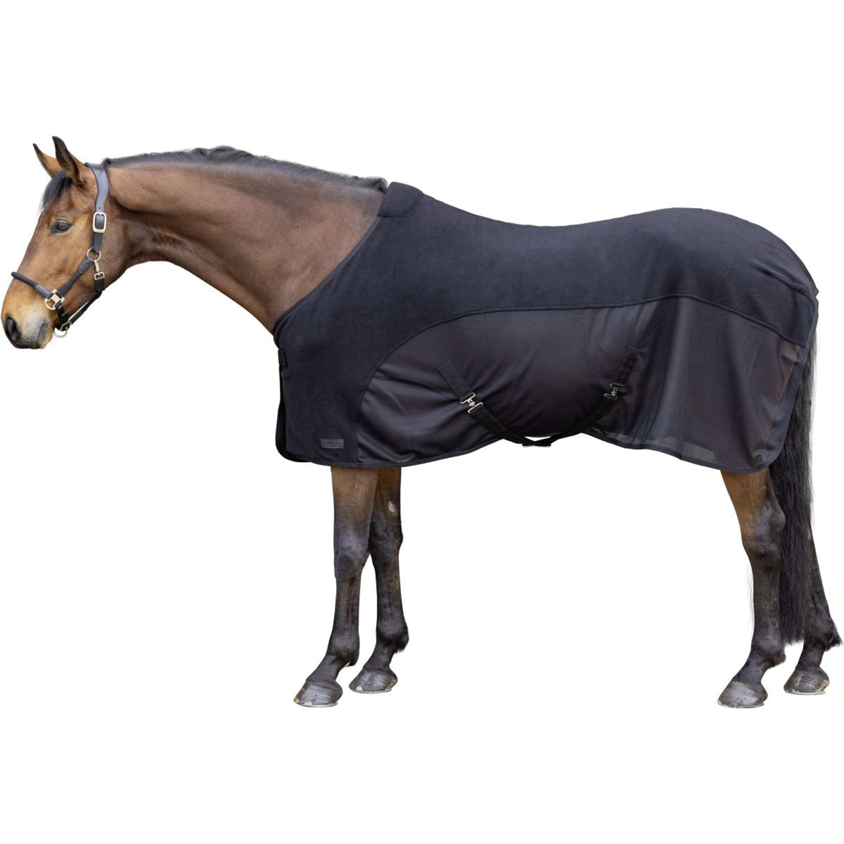 Covalliero Abschwitzdecke SS26 Schwarz