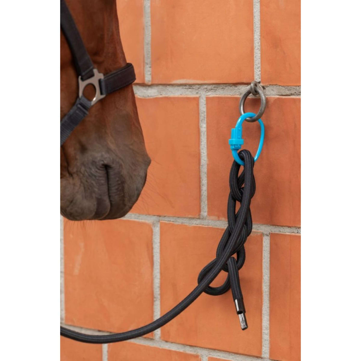 Kerbl Sicherheitsring Safety Tie-Down Rot/Schwarz/Blau