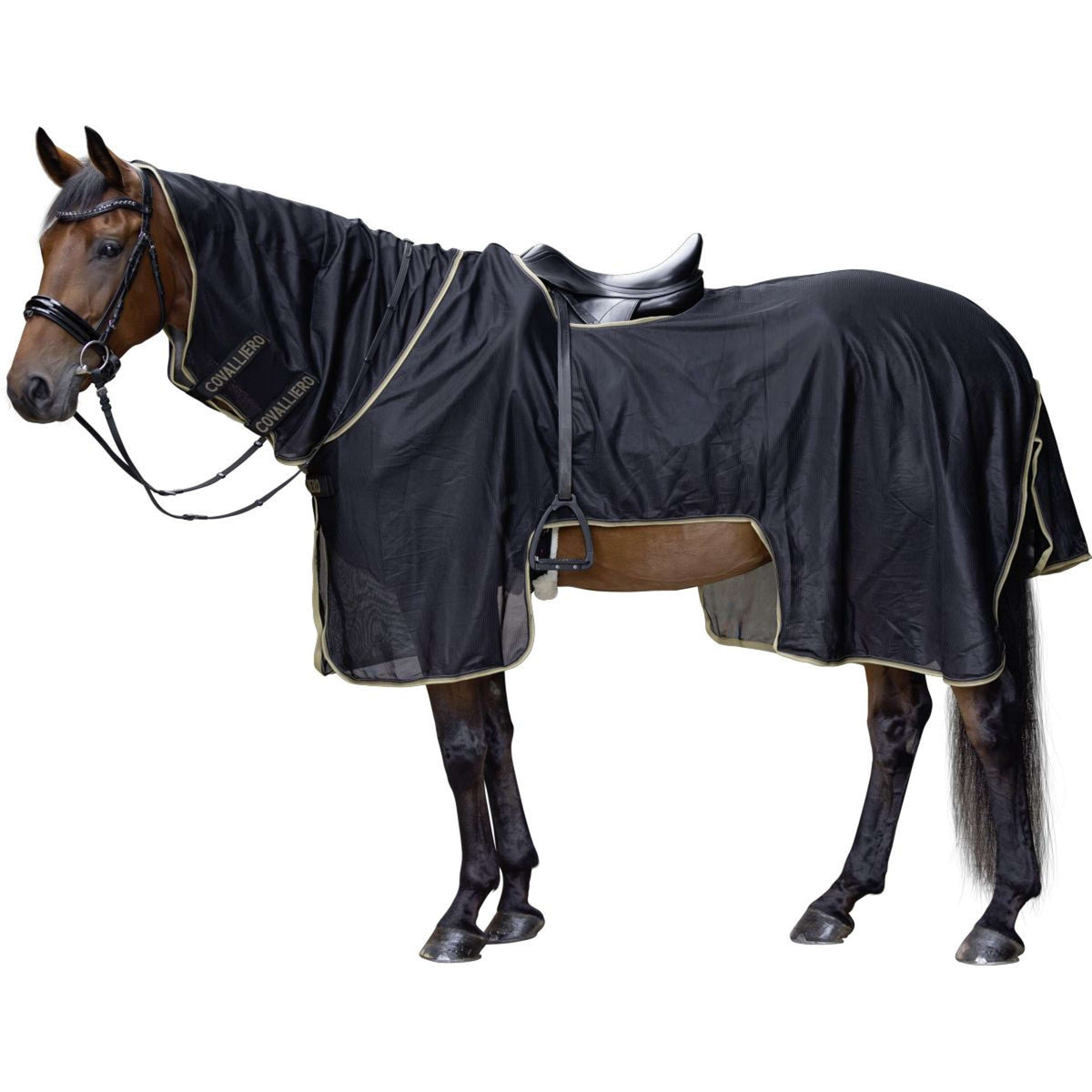 Covalliero Ausreitdecke SS26 Schwarz