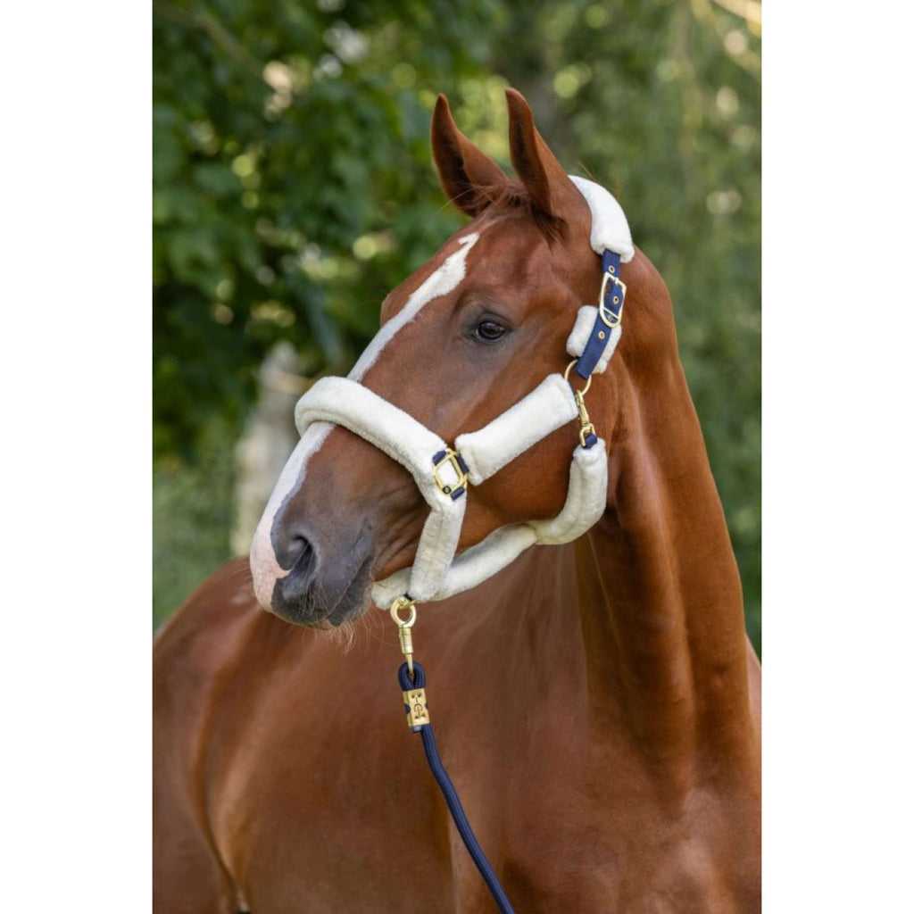 Covalliero Halfter Supersoft 2.0 Blau