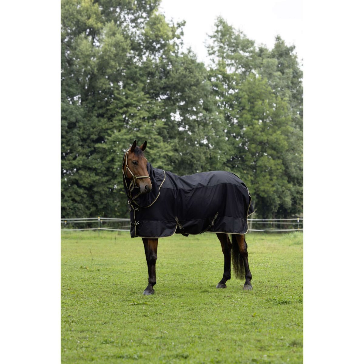 Covalliero Regendecke SS26 Schwarz