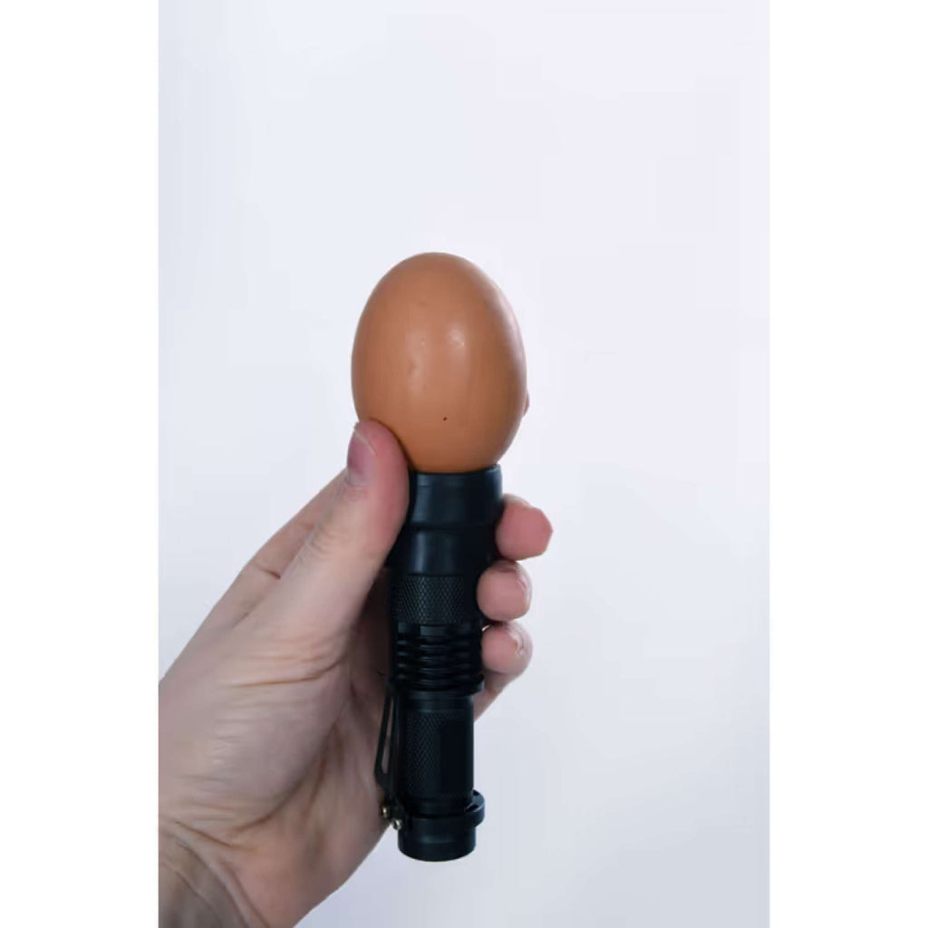 Kerbl LED-Eierschaulampe Schwarz