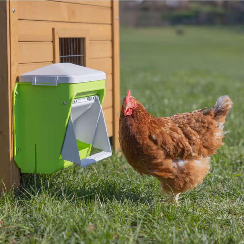 Kerbl Futterautomat mit Schutzklappe Grün