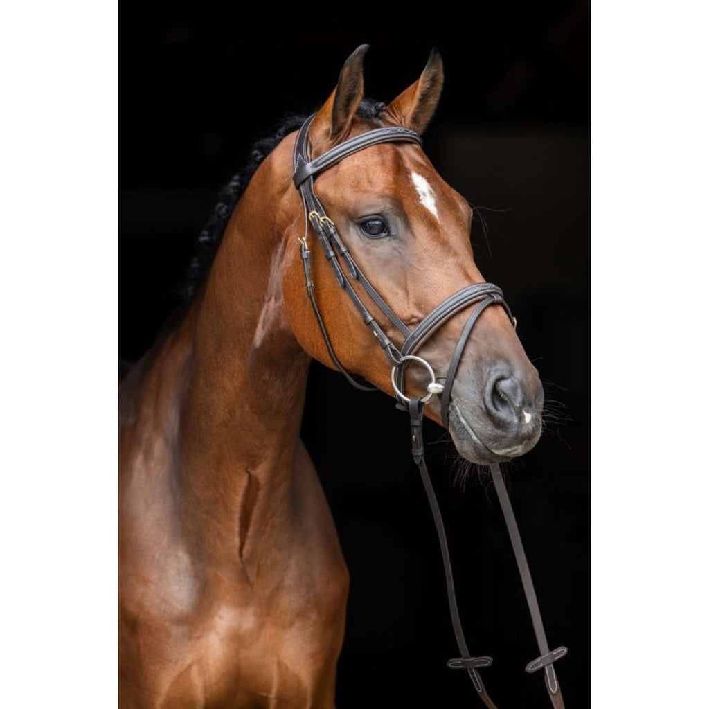 Kerbl Trense Classic Leder Klassik Braun
