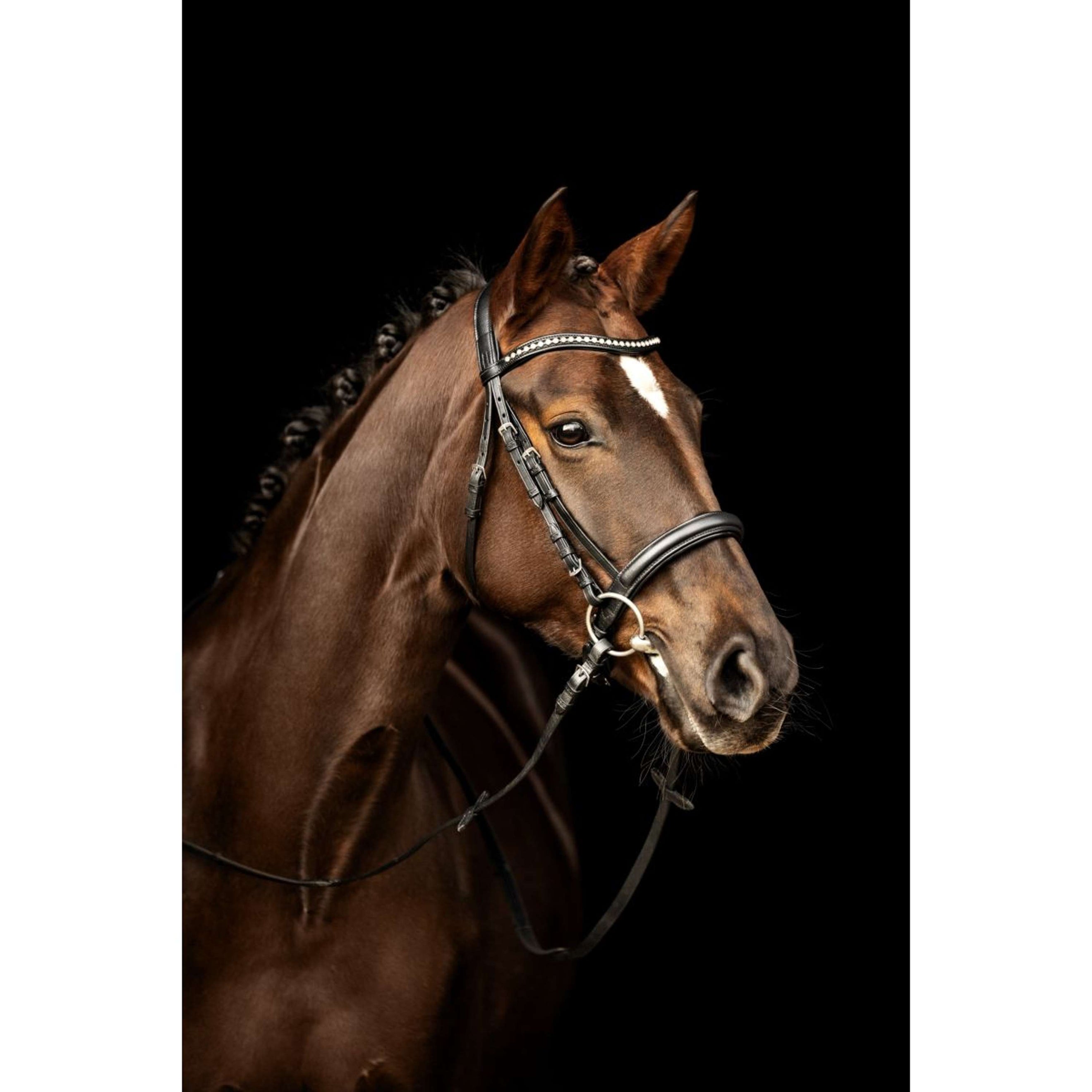 Kieffer Trense Ultrasoft Sue Mit Kristallen Schwarz/Weiß