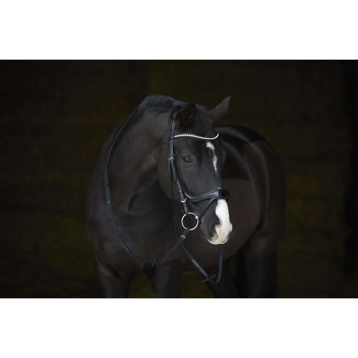 Kieffer Zaum Amy Shine Schwarz