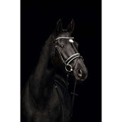 Kieffer Trense Comfort Paris Englischen Nasenriemen mit Sperriemen Schwarz/Weiß