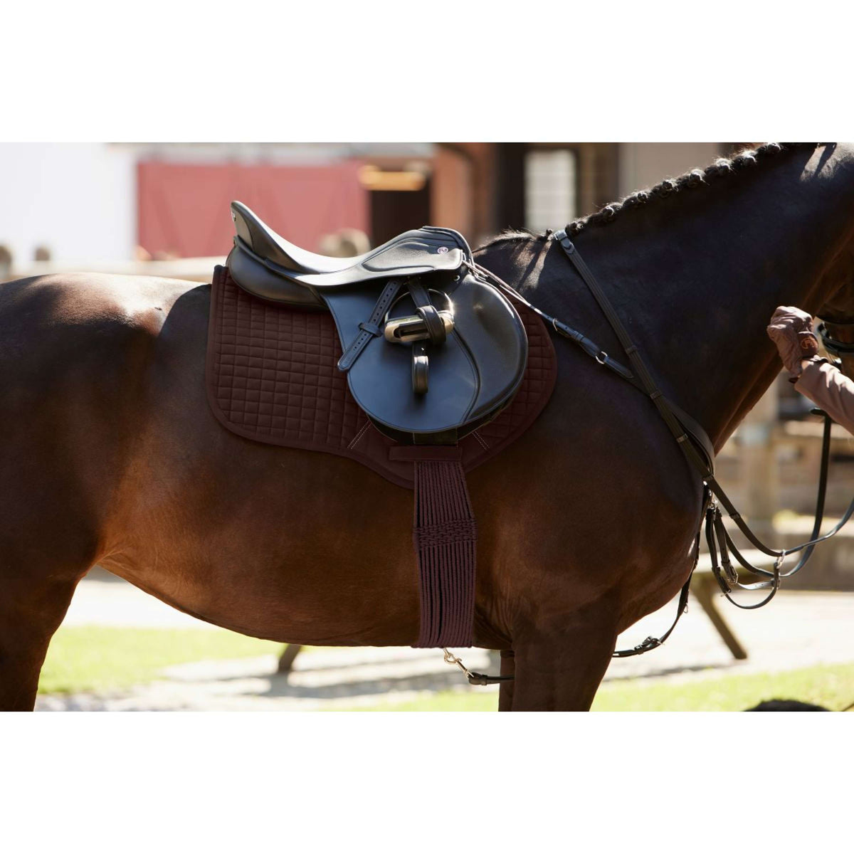 Kieffer Sattelgurt Cotton Contour Schwarz