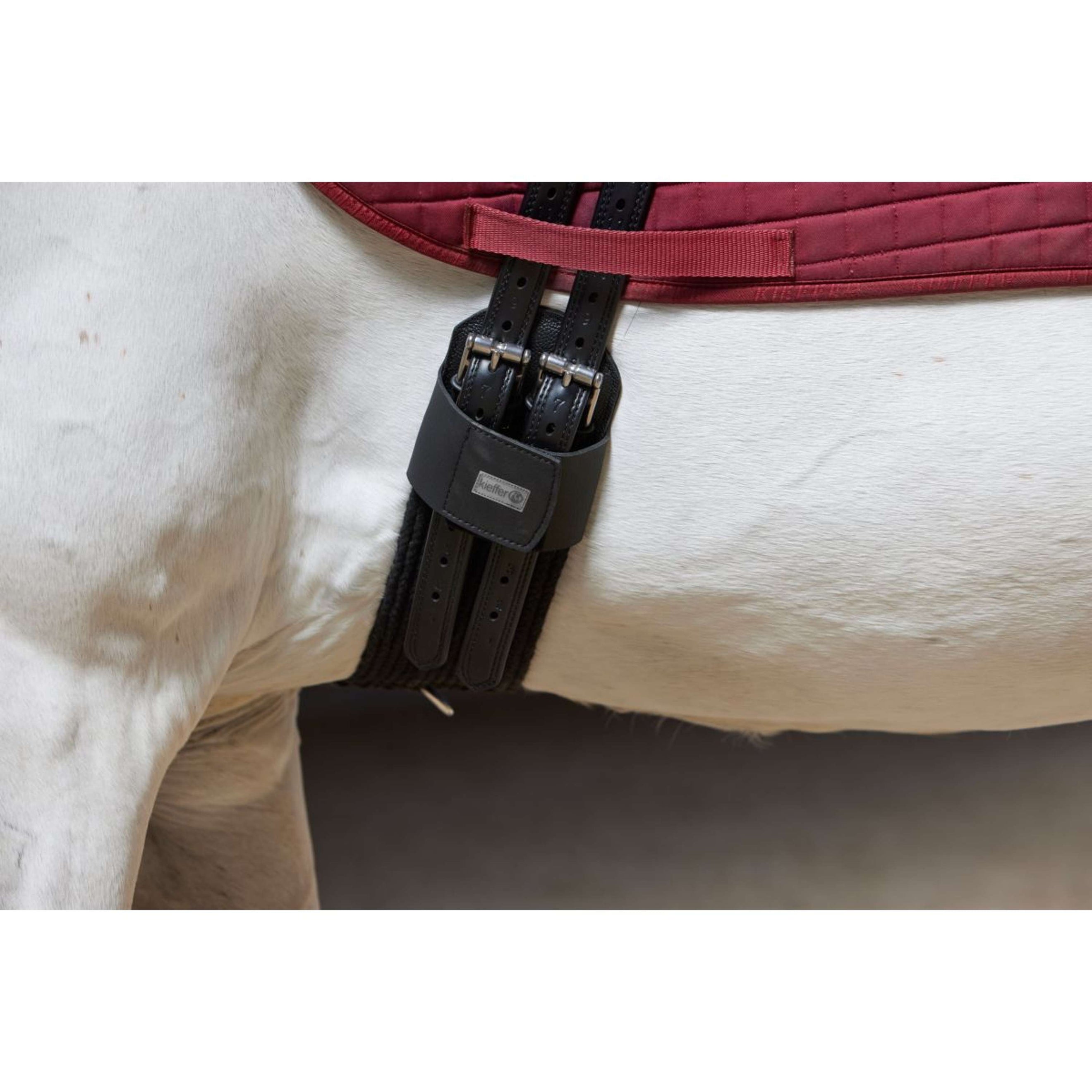 Kieffer Sattelgurt Cotton Contour Schwarz Kieffer Sattelgurt Cotton Contour Schwarz